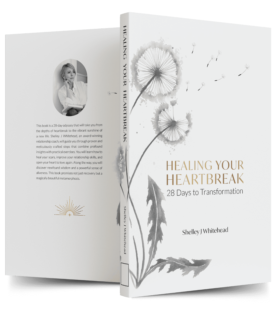 Cover of Healing Your Heartbreak Book by Shelley J Whitehead