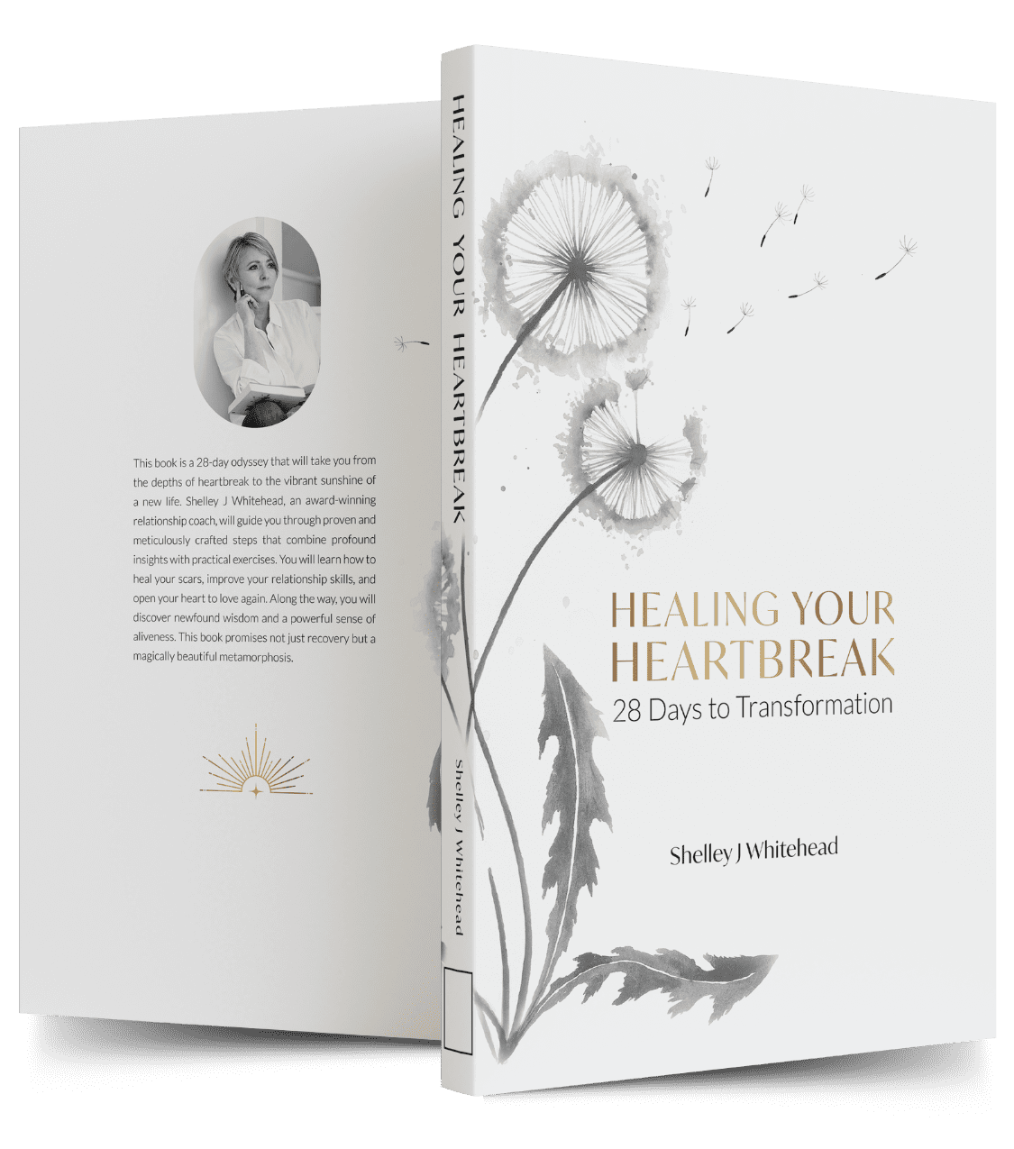 Healing your Heartbreak Book - Shelley J Whitehead