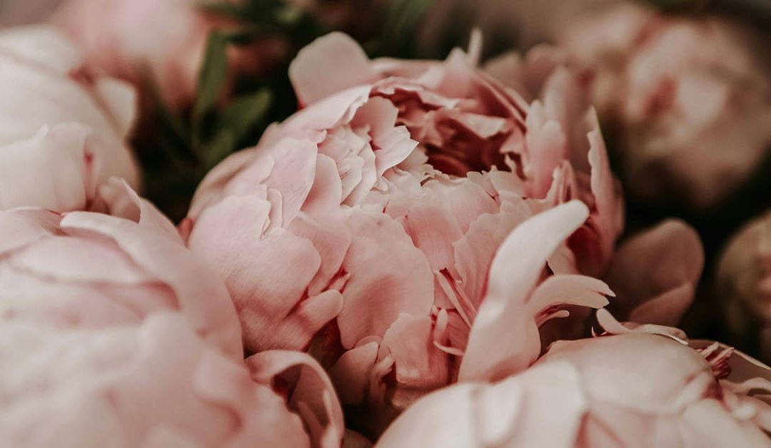 How to create a vision for your future even if you’re still waiting for love