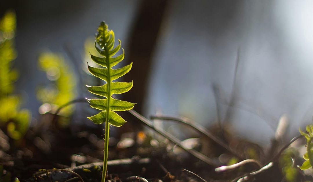 Why support is something you build, not something you find in one person