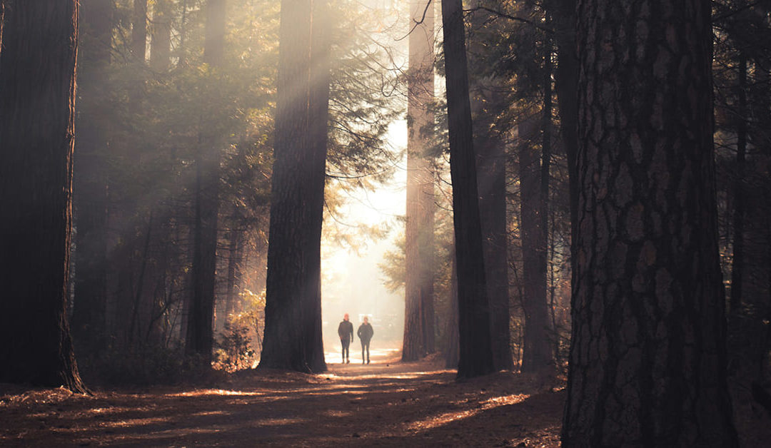 Why things often feel uncertain just as they begin to deepen